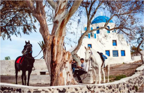 Santorini Horse Riding