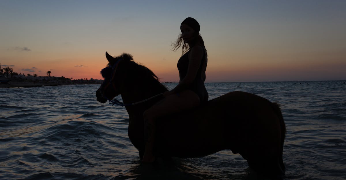 Santorini Horse Riding Tours