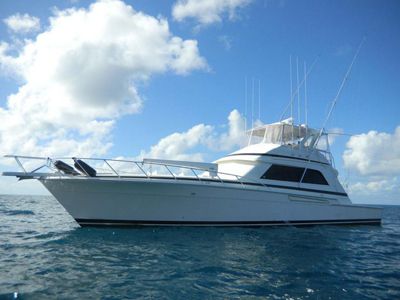 Motor Yacht Anemina — Bertram 60